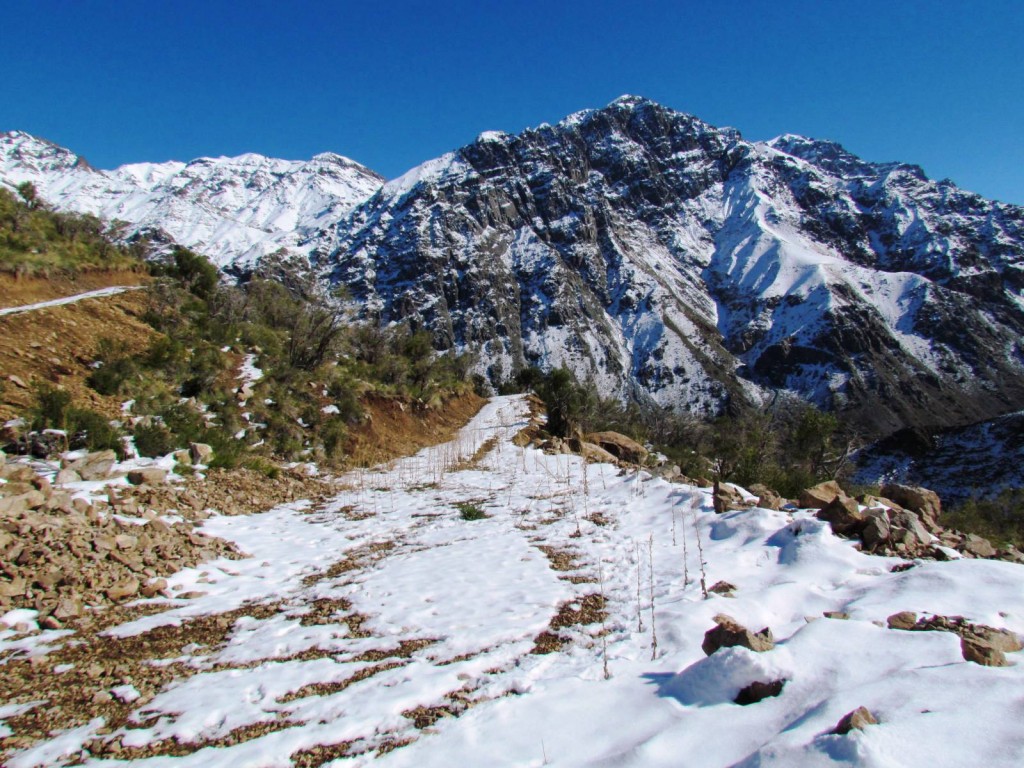 Foto de Las Melosas (Región Metropolitana), Chile