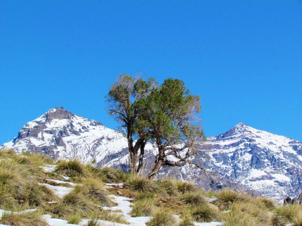 Foto de Las Melosas (Región Metropolitana), Chile