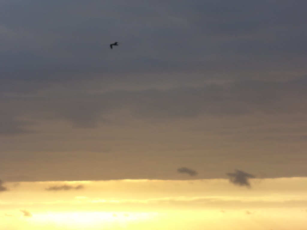 Foto: Crepúsculo - Crucita (Manabí), Ecuador