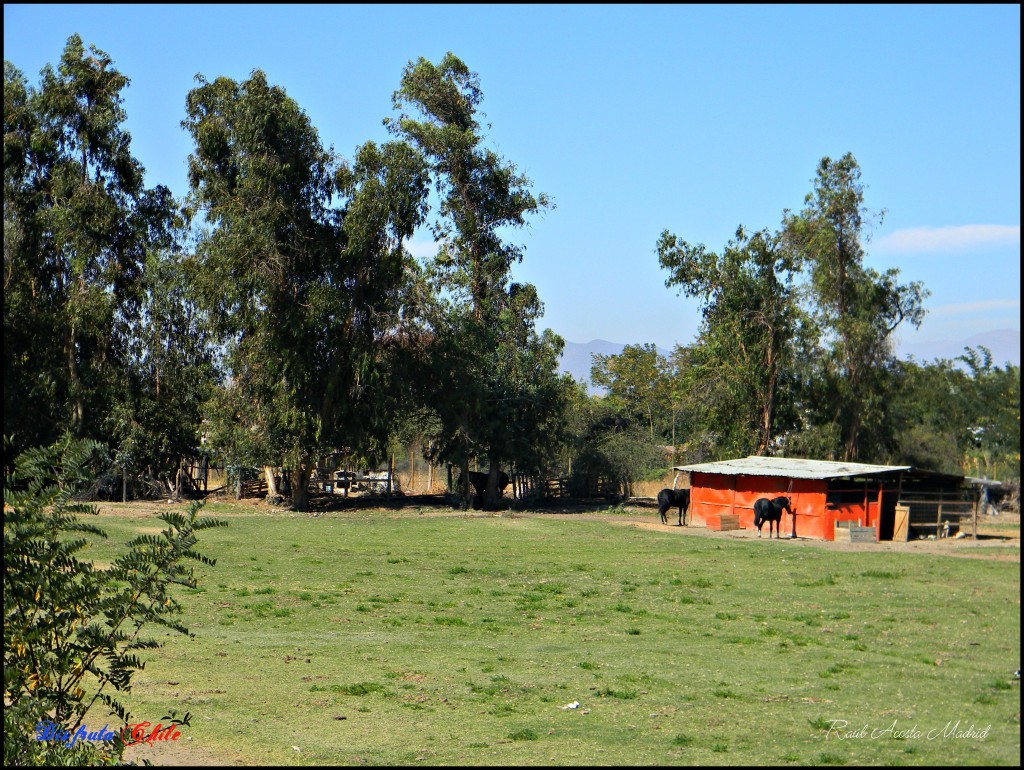 Foto de Lo Miranda (Libertador General Bernardo OʼHiggins), Chile