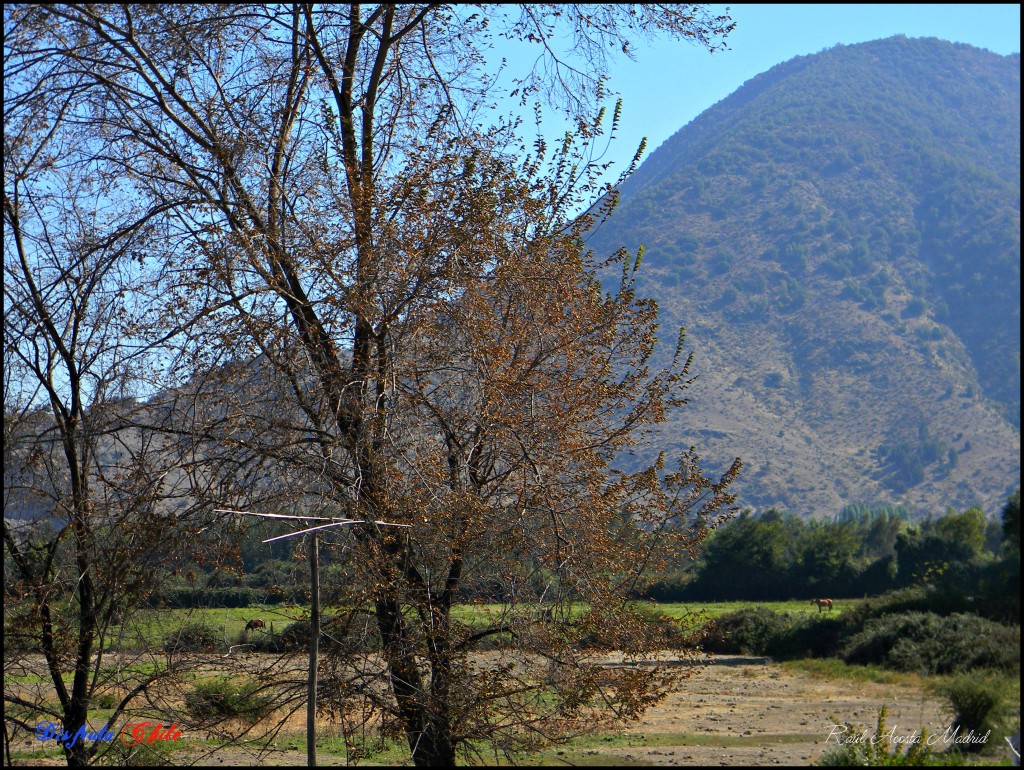 Foto de Lo Miranda (Libertador General Bernardo OʼHiggins), Chile