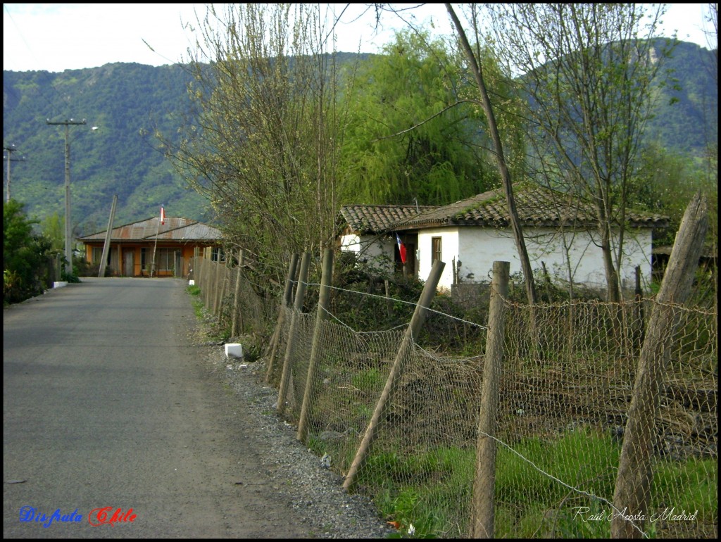 Foto de El Huapi (Libertador General Bernardo OʼHiggins), Chile