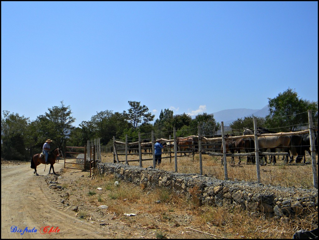 Foto de Alhué (Región Metropolitana), Chile