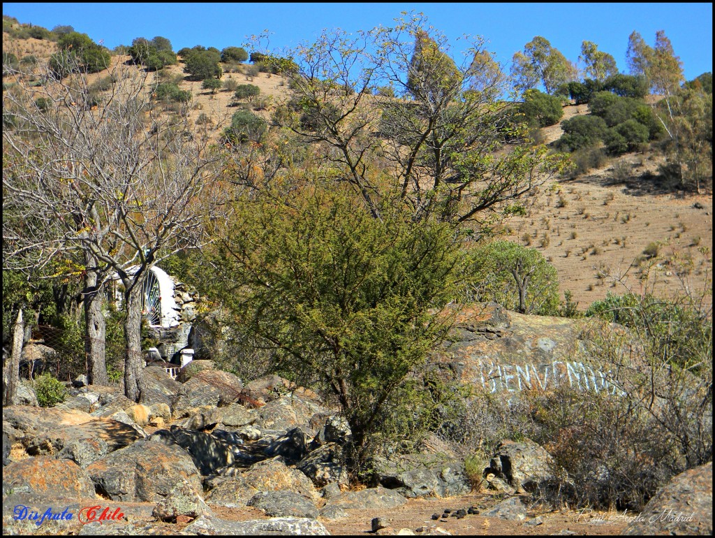 Foto de Alhué (Región Metropolitana), Chile