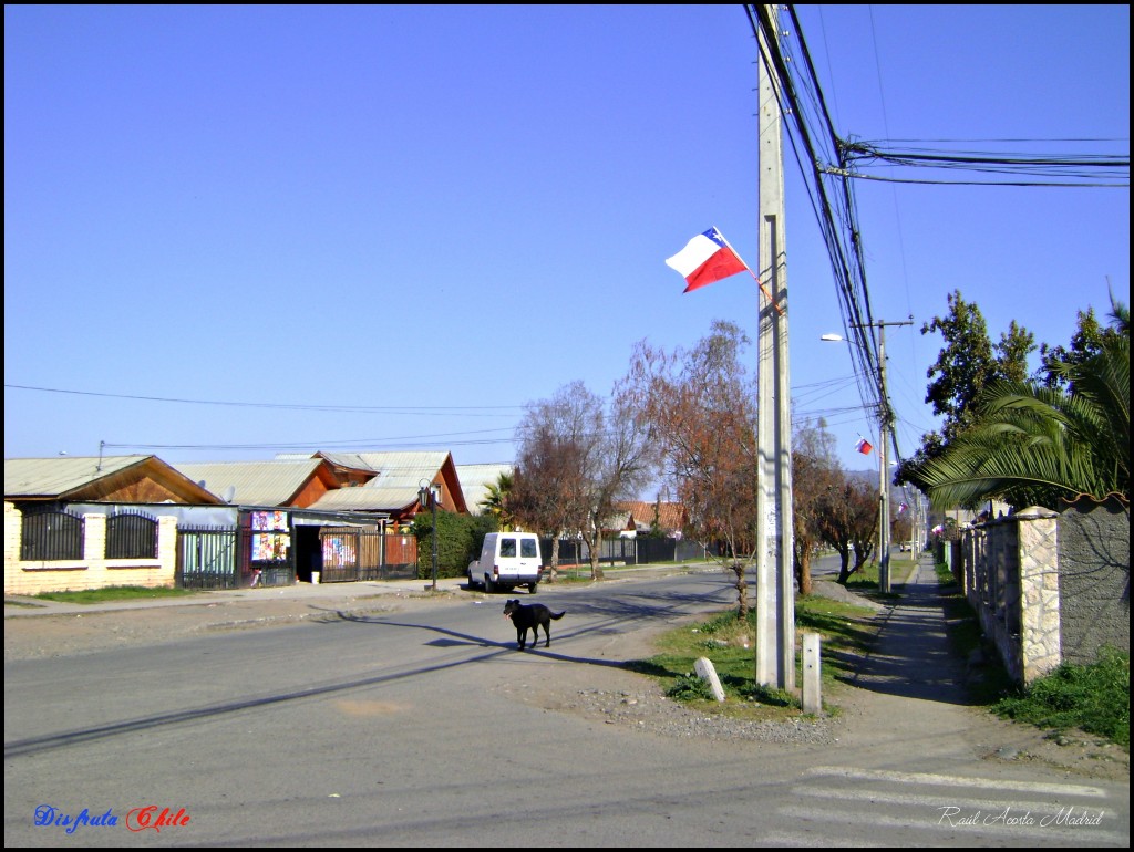 Foto de Lo Miranda (Libertador General Bernardo OʼHiggins), Chile