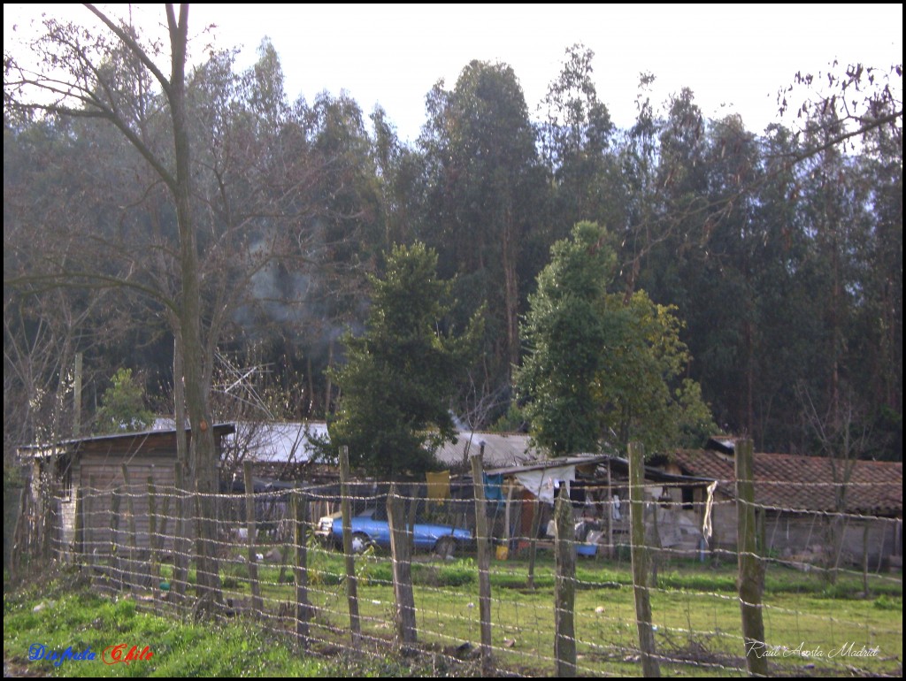 Foto de Lo Miranda (Libertador General Bernardo OʼHiggins), Chile