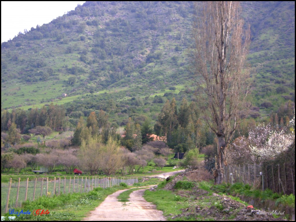 Foto de Lo Miranda (Libertador General Bernardo OʼHiggins), Chile