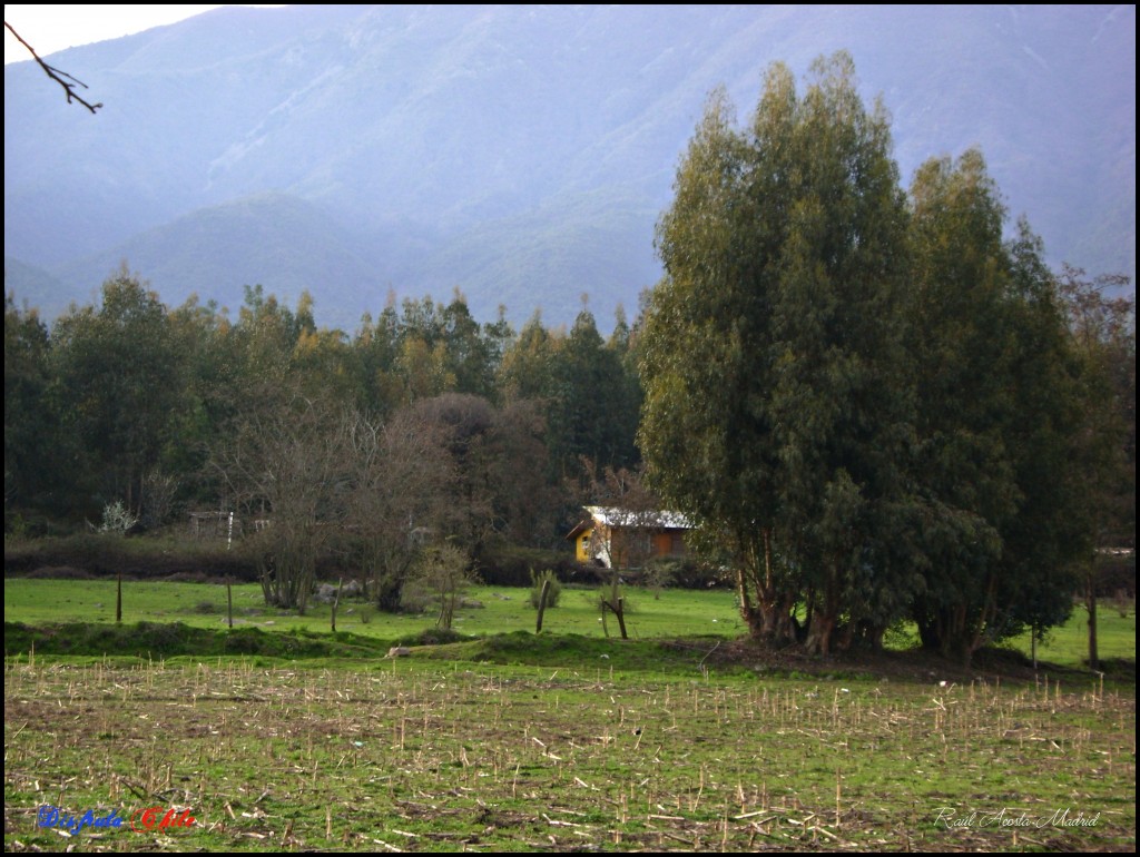 Foto de Lo Miranda (Libertador General Bernardo OʼHiggins), Chile