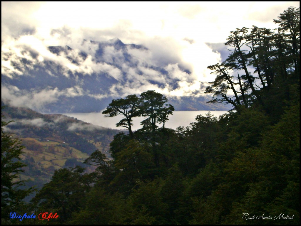 Foto de Curarrehue (Los Lagos), Chile