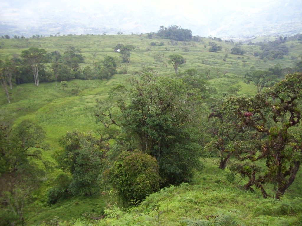 Foto: La Colina - Aquitania . San Juan (Boyacá), Colombia