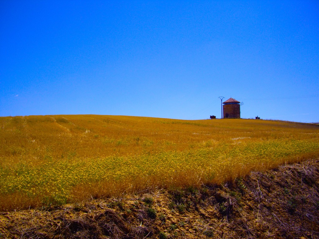 Foto: El molino - Aguilar De Campos (Valladolid), España