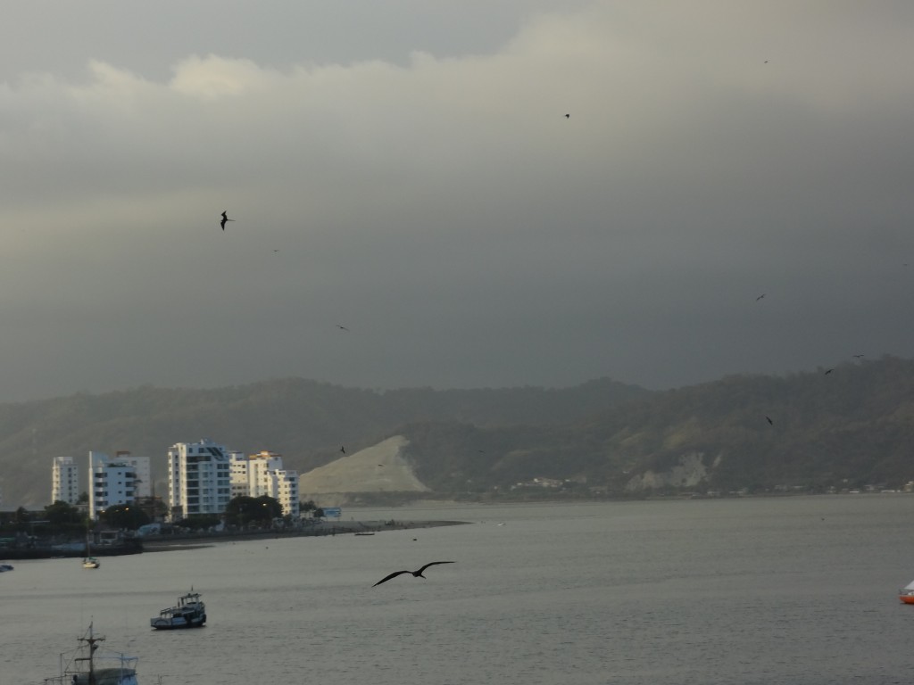 Foto: Veleros - San Vicente (Manabí), Ecuador