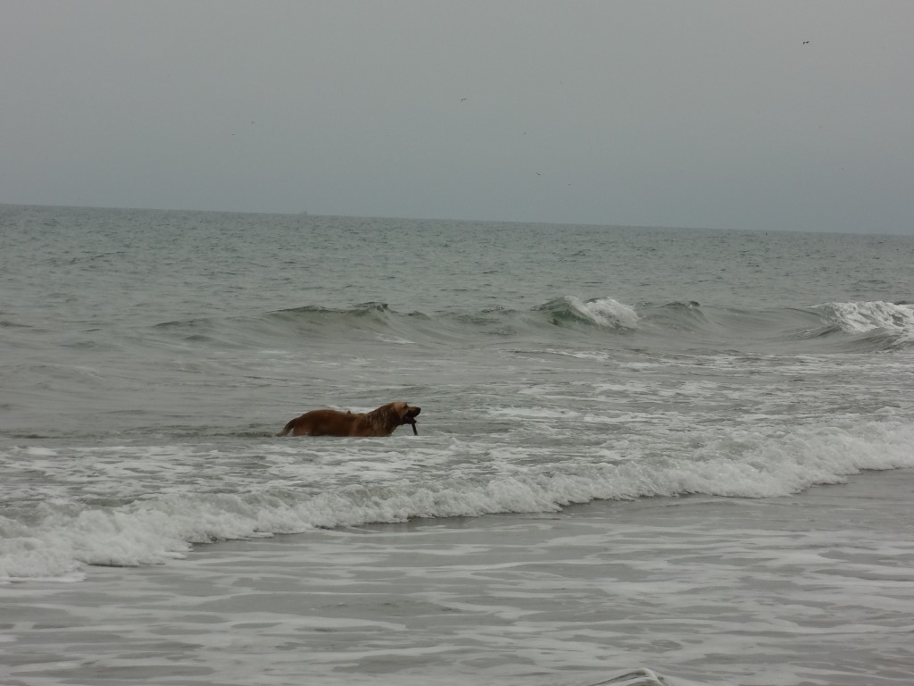 Foto: Playa - Crucita (Manabí), Ecuador