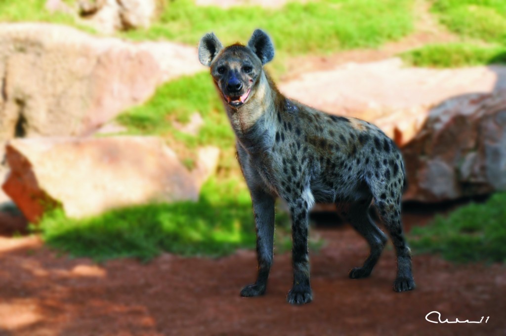 Foto: Bioparc - Valencia (València), España