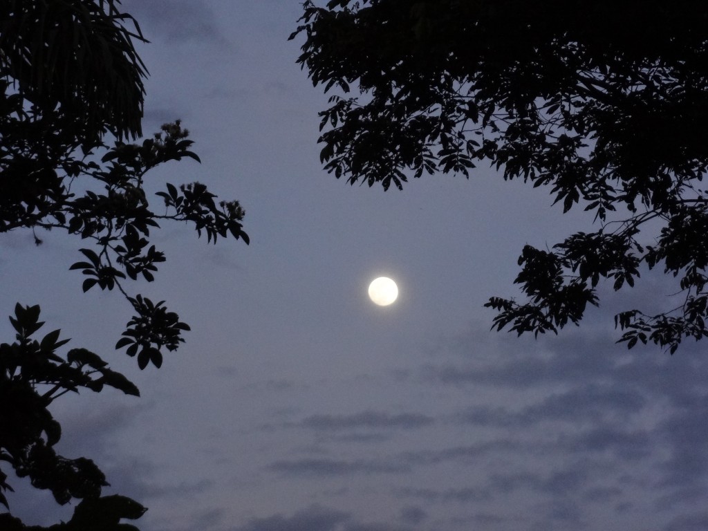 Foto: Luna - Shell (Chimborazo), Ecuador