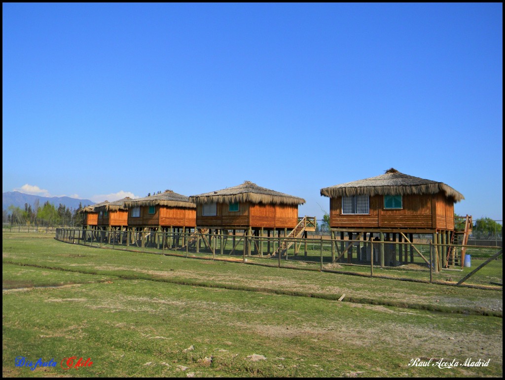 Foto de Rancagua (Libertador General Bernardo OʼHiggins), Chile