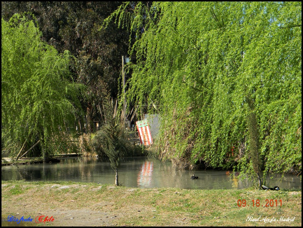 Foto de Rancagua (Libertador General Bernardo OʼHiggins), Chile