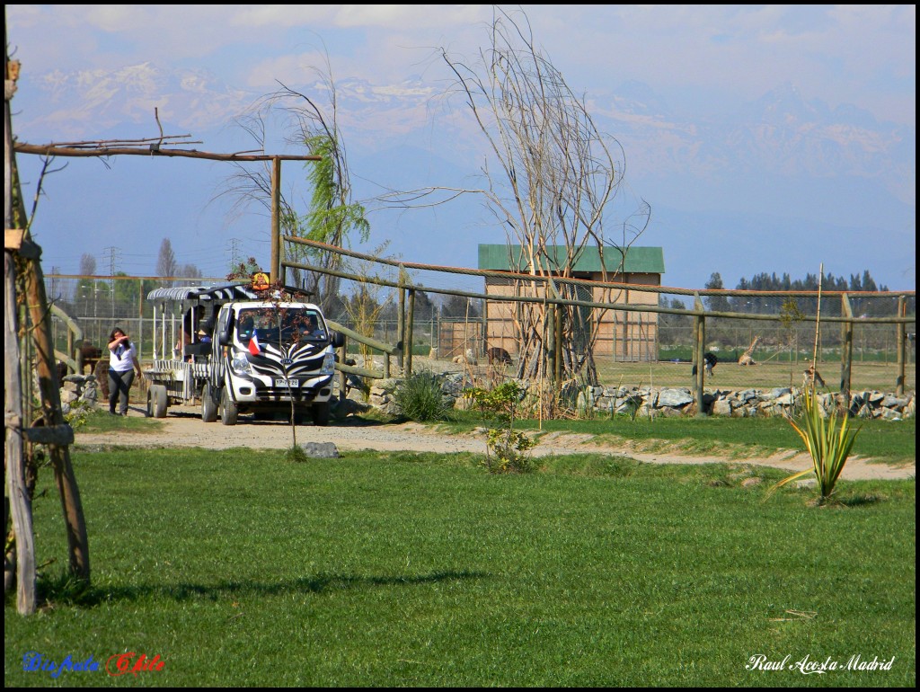 Foto de Rancagua (Libertador General Bernardo OʼHiggins), Chile