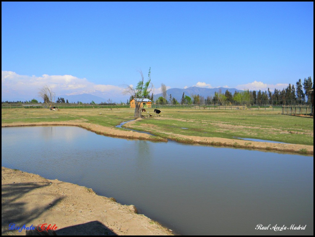 Foto de Rancagua (Libertador General Bernardo OʼHiggins), Chile