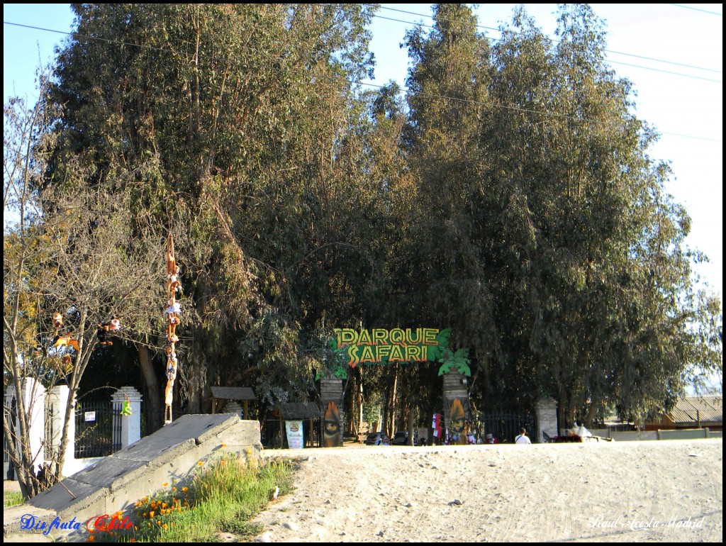 Foto de Rancagua (Libertador General Bernardo OʼHiggins), Chile