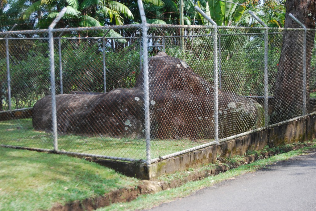 Foto de Chirripo (Cordillera de Talamanca), Costa Rica