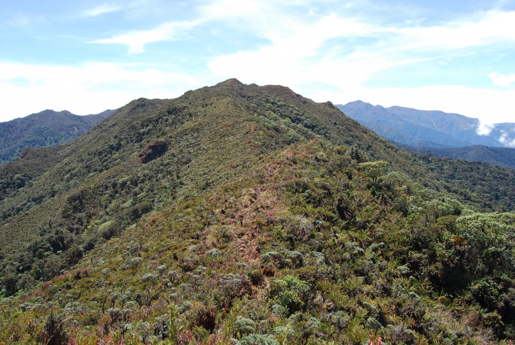Foto De Chirripo Cordillera De Talamanca Costa Rica 2400