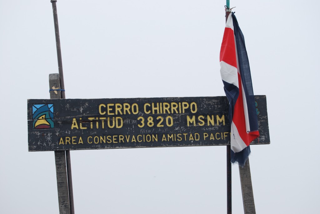 Foto de Chirripo (Cordillera de Talamanca), Costa Rica