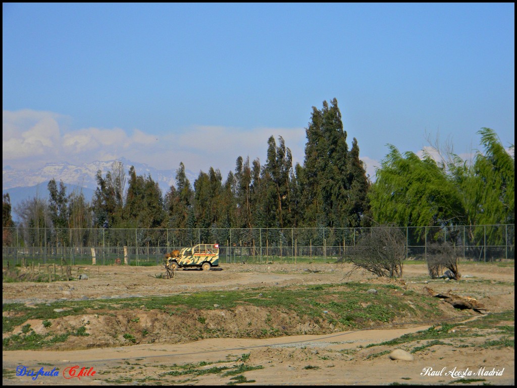 Foto de Rancagua (Libertador General Bernardo OʼHiggins), Chile