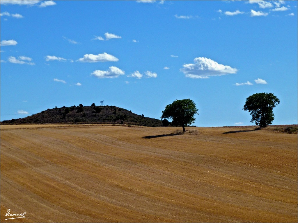 Foto: 110720-01 CERRO SAN PASCUAL - Alconchel De Ariza (Zaragoza), España