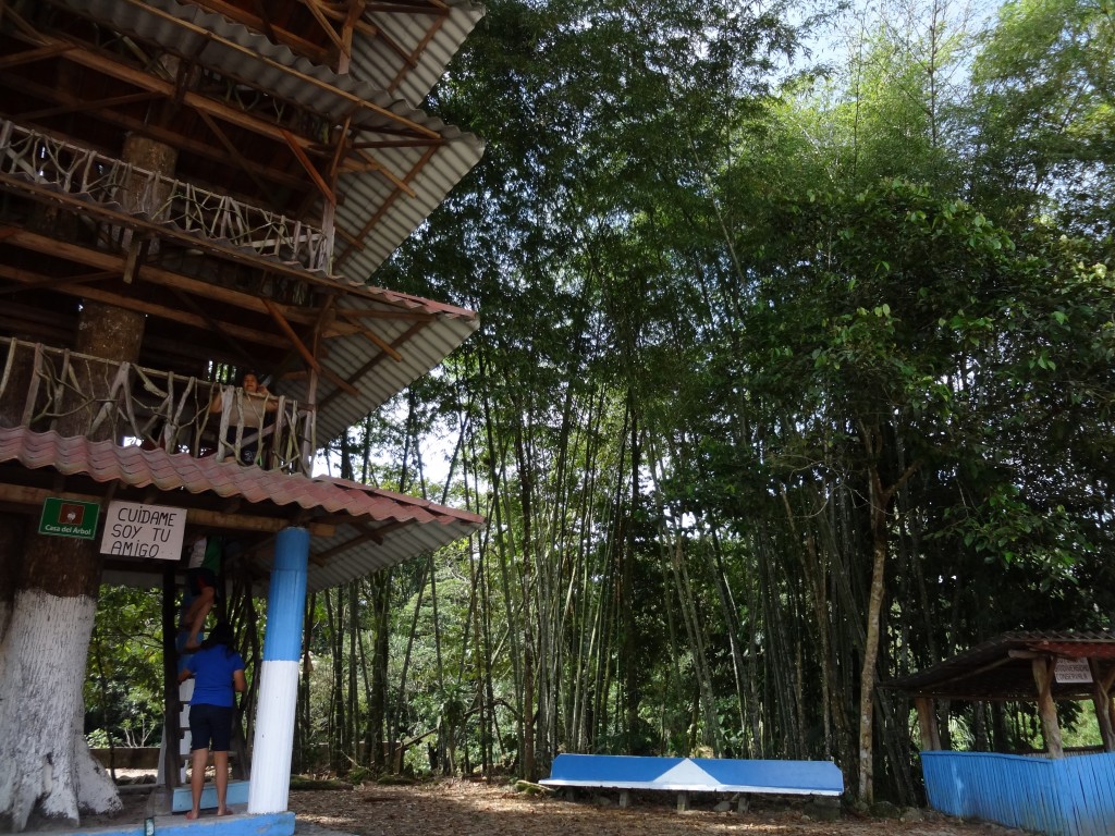 Foto: Casa del árbol - Mera (Pastaza), Ecuador