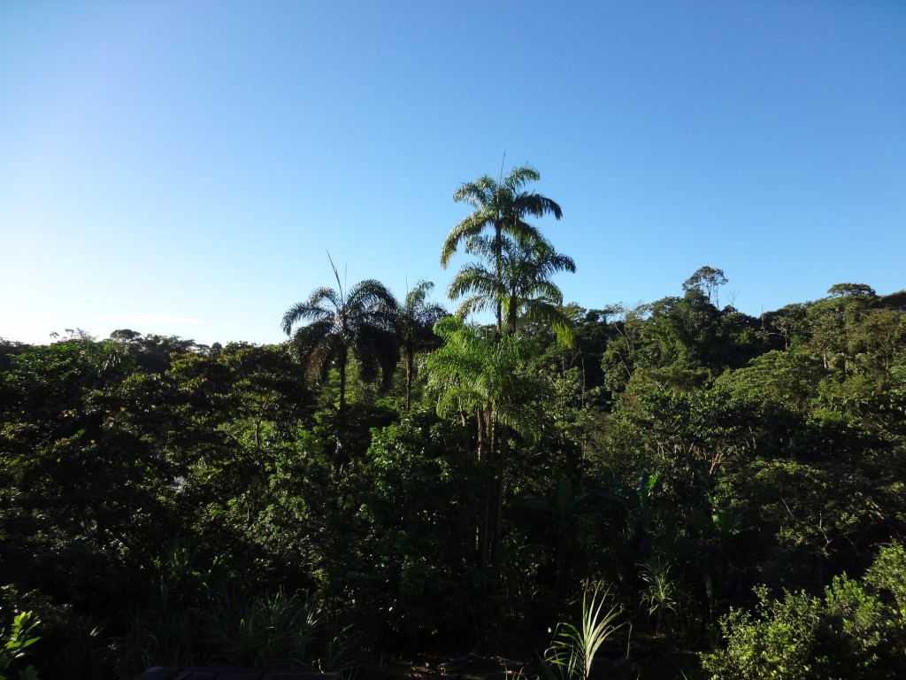 Foto: amanecer - Shell (Pastaza), Ecuador