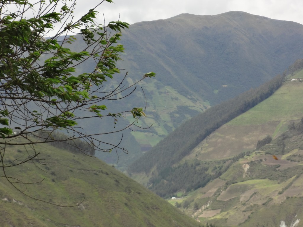 Foto: Camino a Riobamba - Penipe (Chimborazo), Ecuador