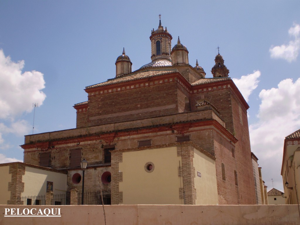 Foto: PELOCAQUI - Palma Del Rio (Córdoba), España