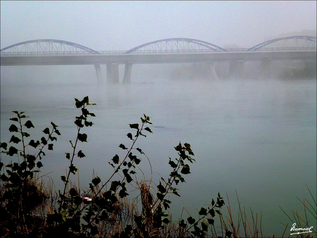 Foto: 120115-26 NIEBLA EN EL EBRO  PUENTE PÌEDRA - Zaragoza (Aragón), España