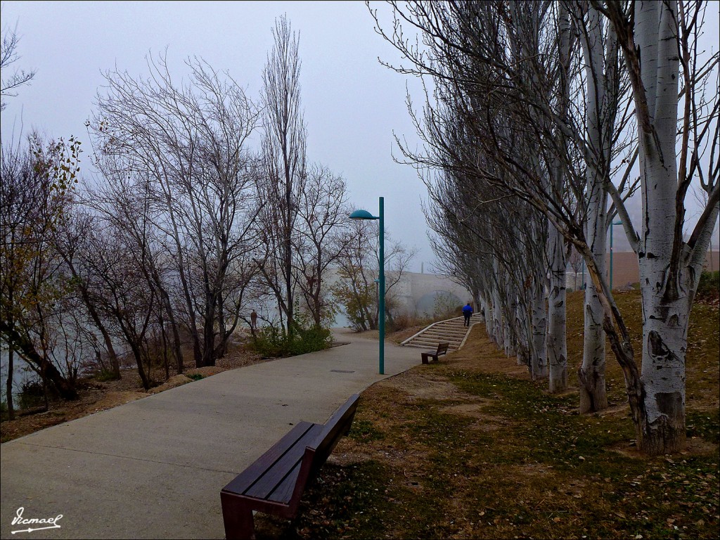 Foto: 120115-35 NIEBLA EN EL EBRO  PUENTE PÌEDRA - Zaragoza (Aragón), España