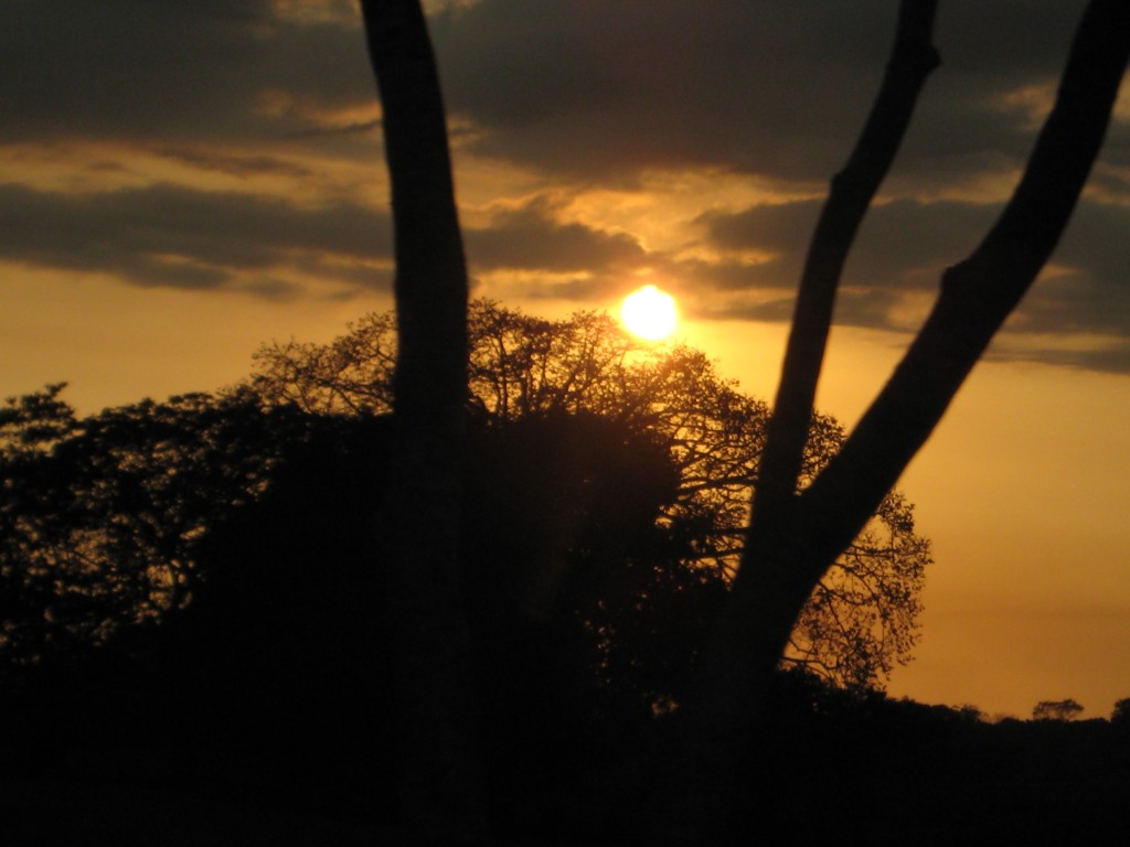 Foto de Tapachula (Chiapas), México