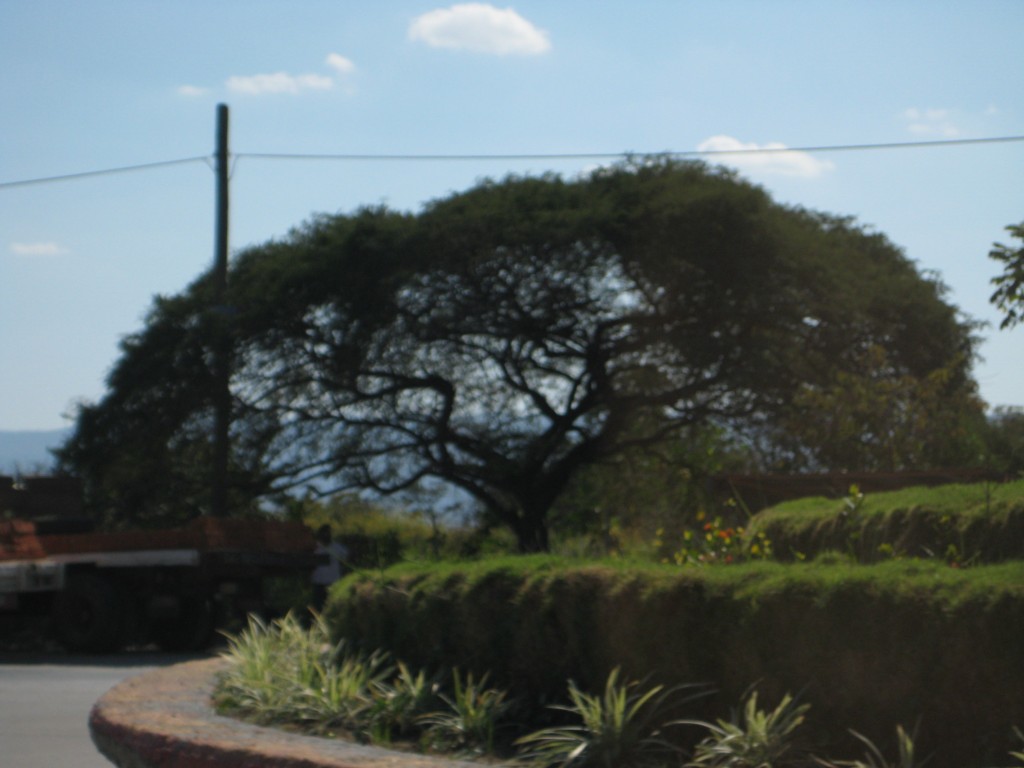 Foto de Tapachula (Chiapas), México