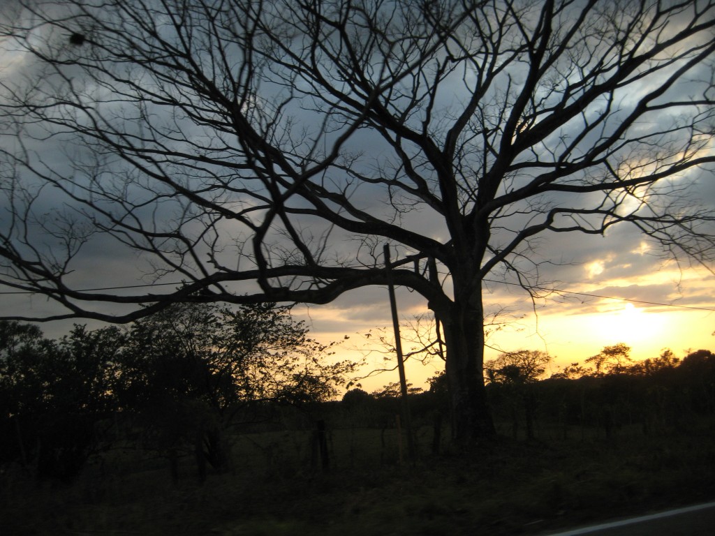 Foto de Tapachula (Chiapas), México