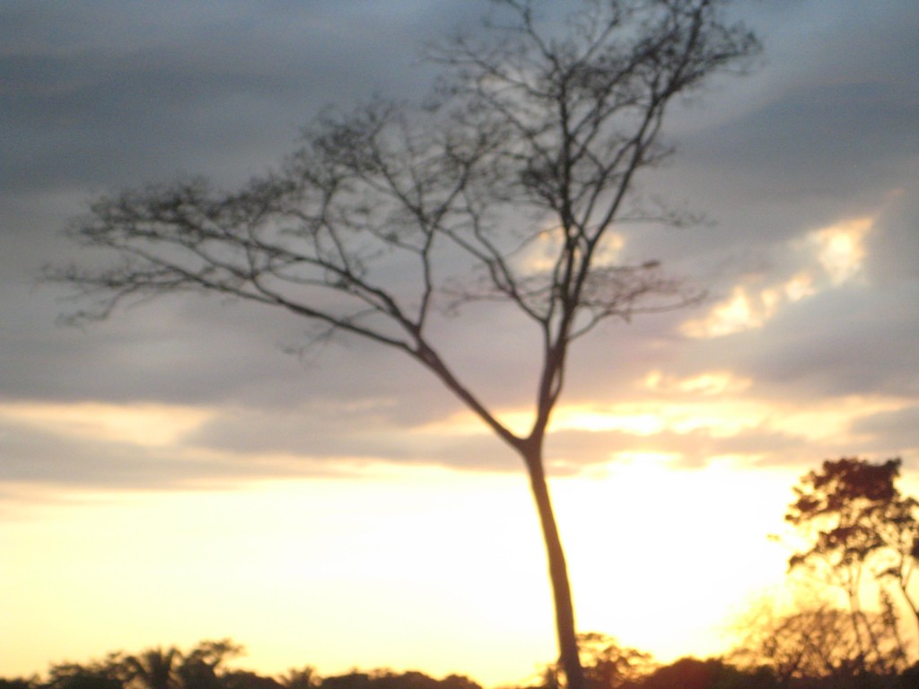 Foto de Tapachula (Chiapas), México