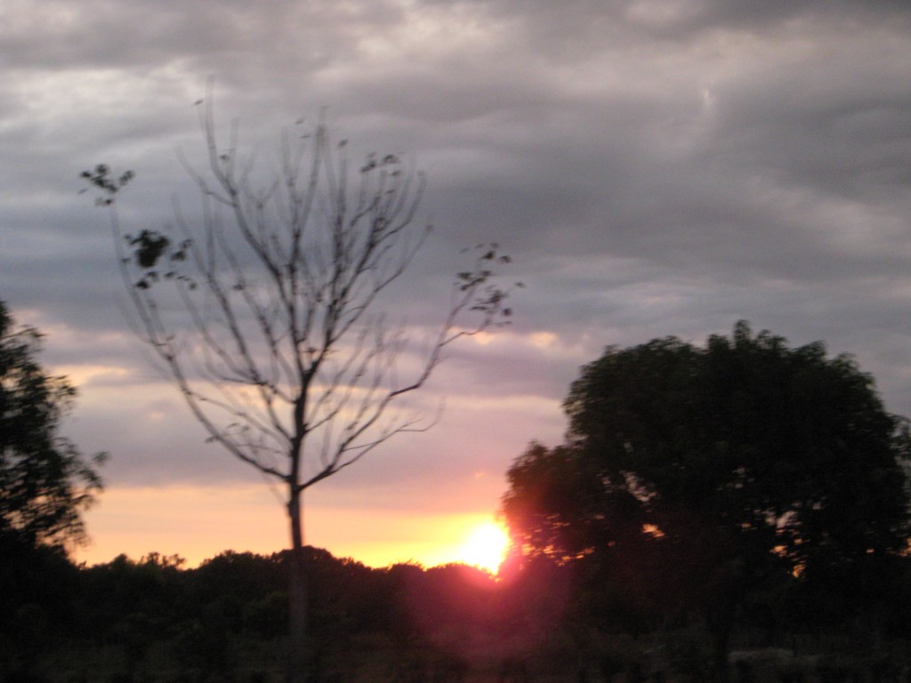 Foto de Tapachula (Chiapas), México