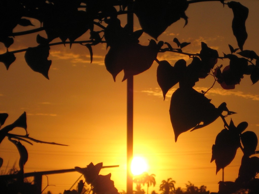 Foto de Tapachula (Chiapas), México