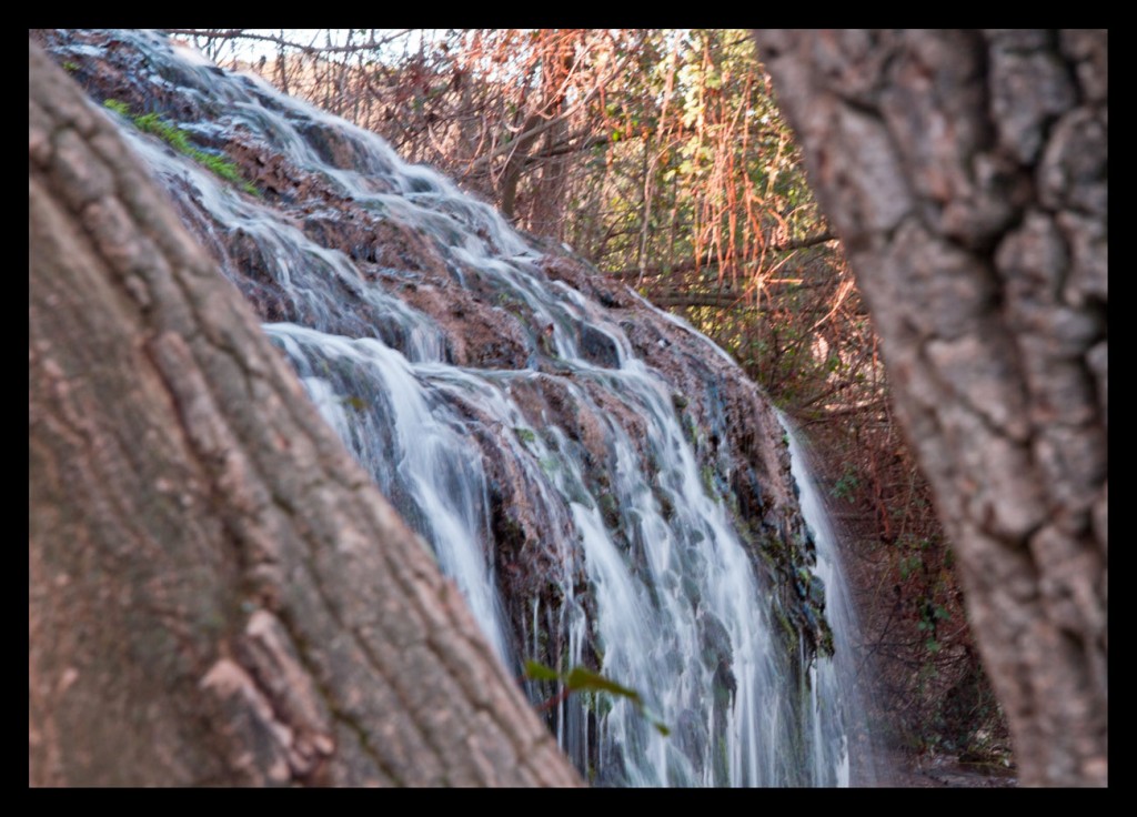 Foto de Zaragoza (Monasterio de Piedra) (Zaragoza), España