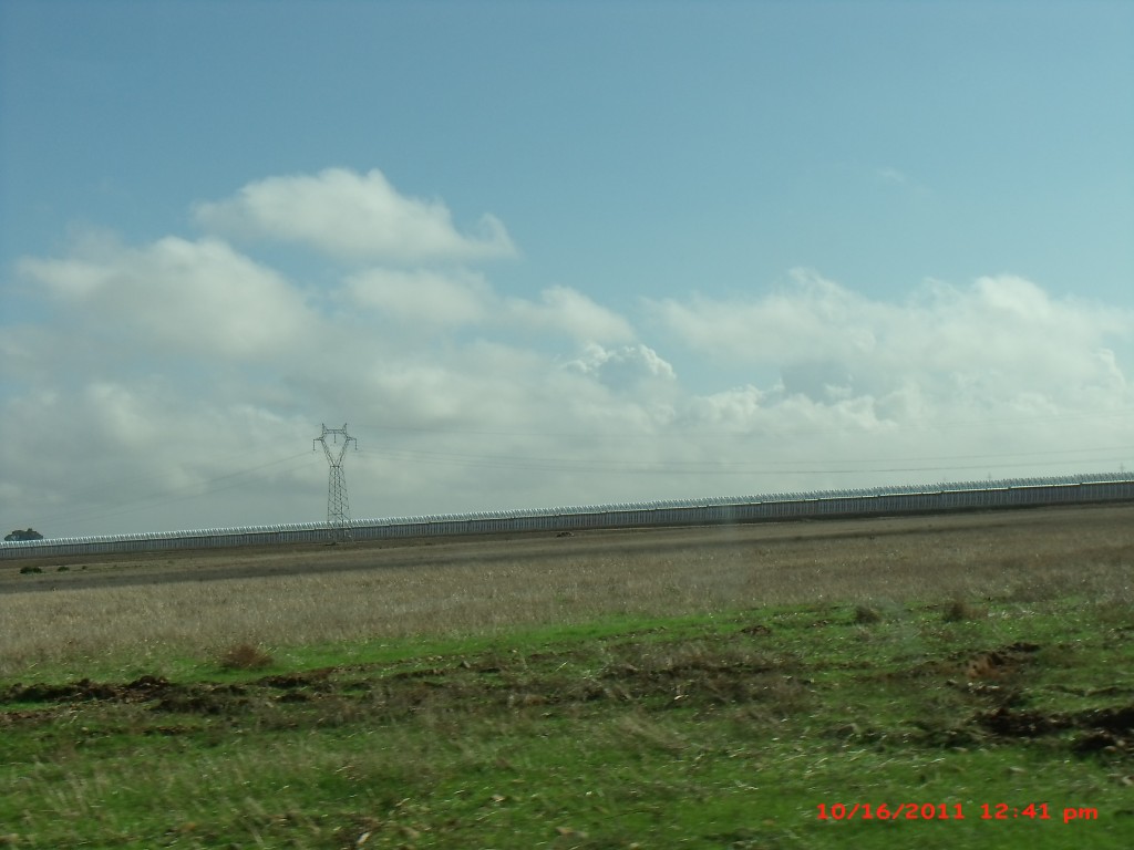 Foto de Palma Del Rio (Córdoba), España