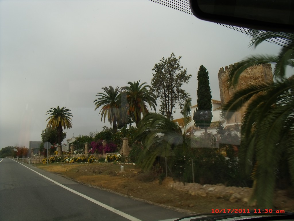 Foto de Palma del Rio (Córdoba), España