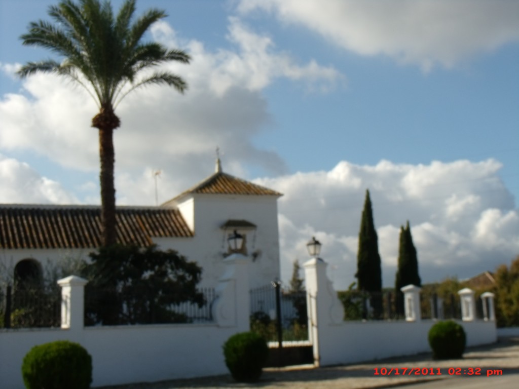 Foto de Palma del Rio (Córdoba), España