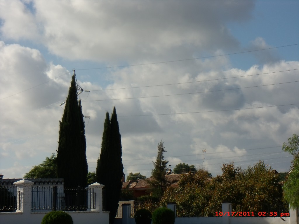 Foto de Palma Del Rio (Córdoba), España