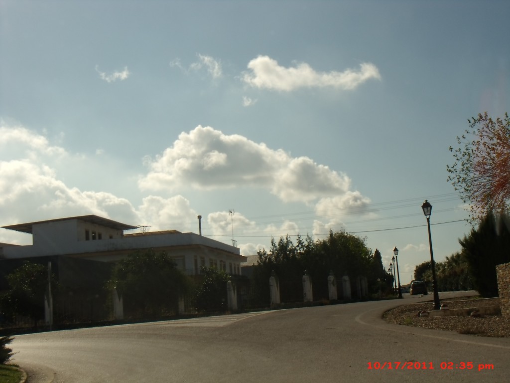 Foto de Palma Del Rio (Córdoba), España