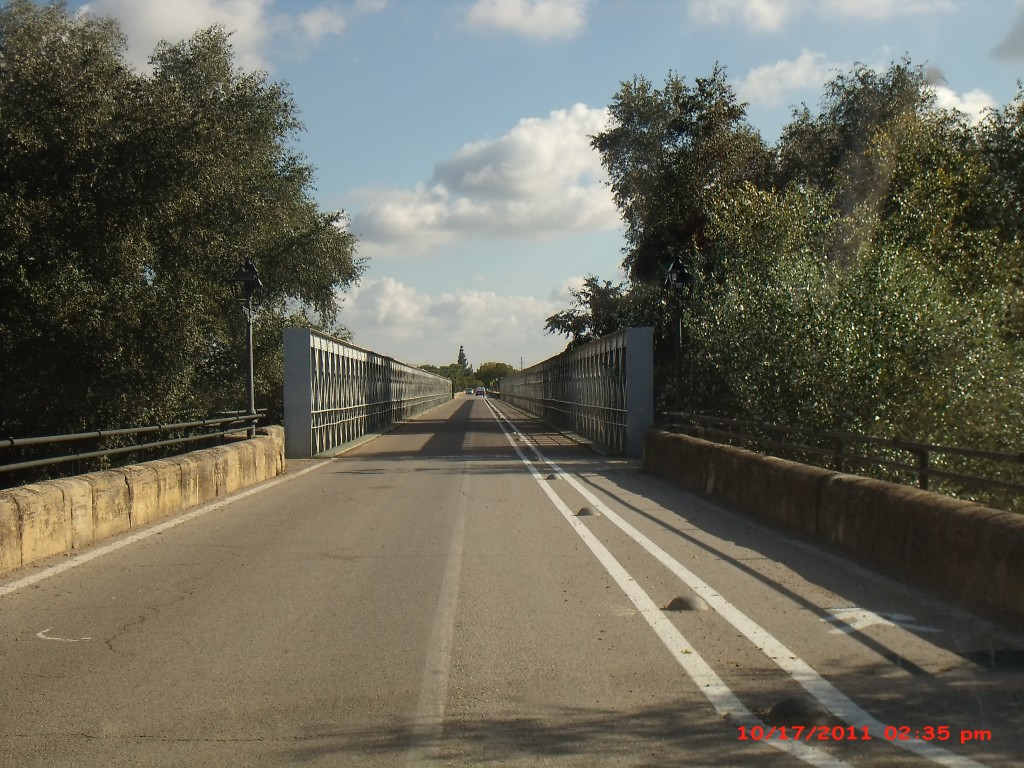 Foto de Palma Del Rio (Córdoba), España