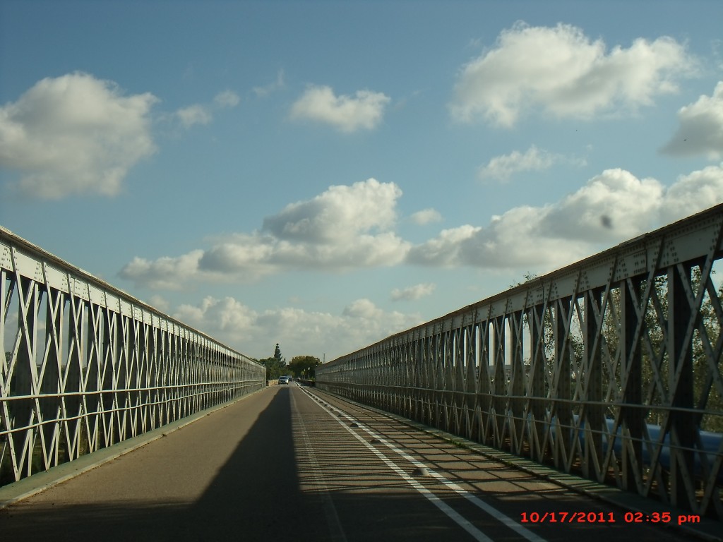 Foto de Palma del Rio (Córdoba), España