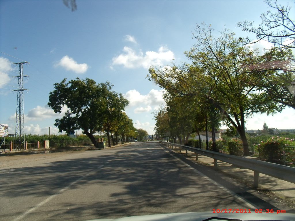 Foto de Palma del Rio (Córdoba), España